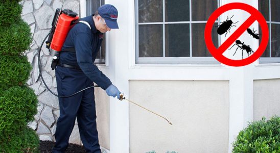 Anamur Böcek ve Haşere İlaçlama böcek ilaçlama ve haşere kontrolü — ilaclama-tr.com